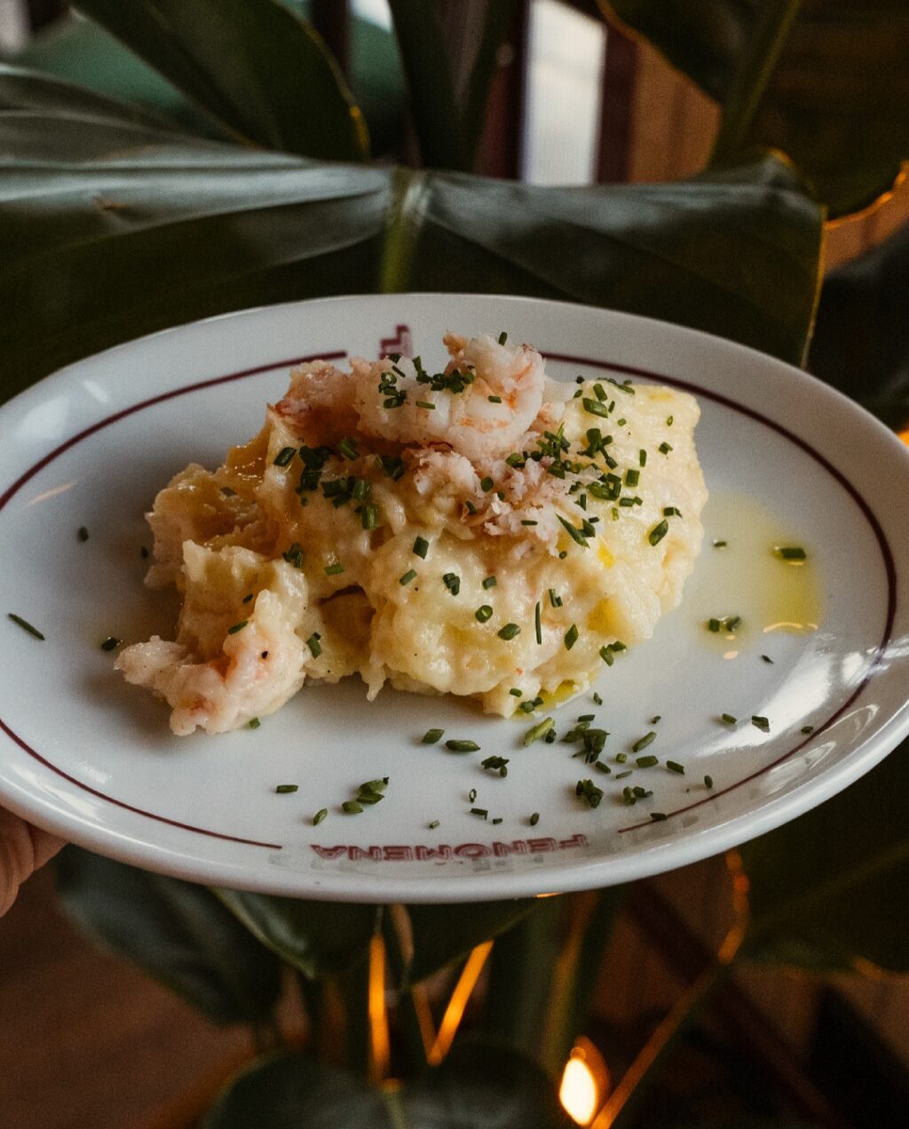 Instagram post from lafenomena_puerto. This post is in position 2.