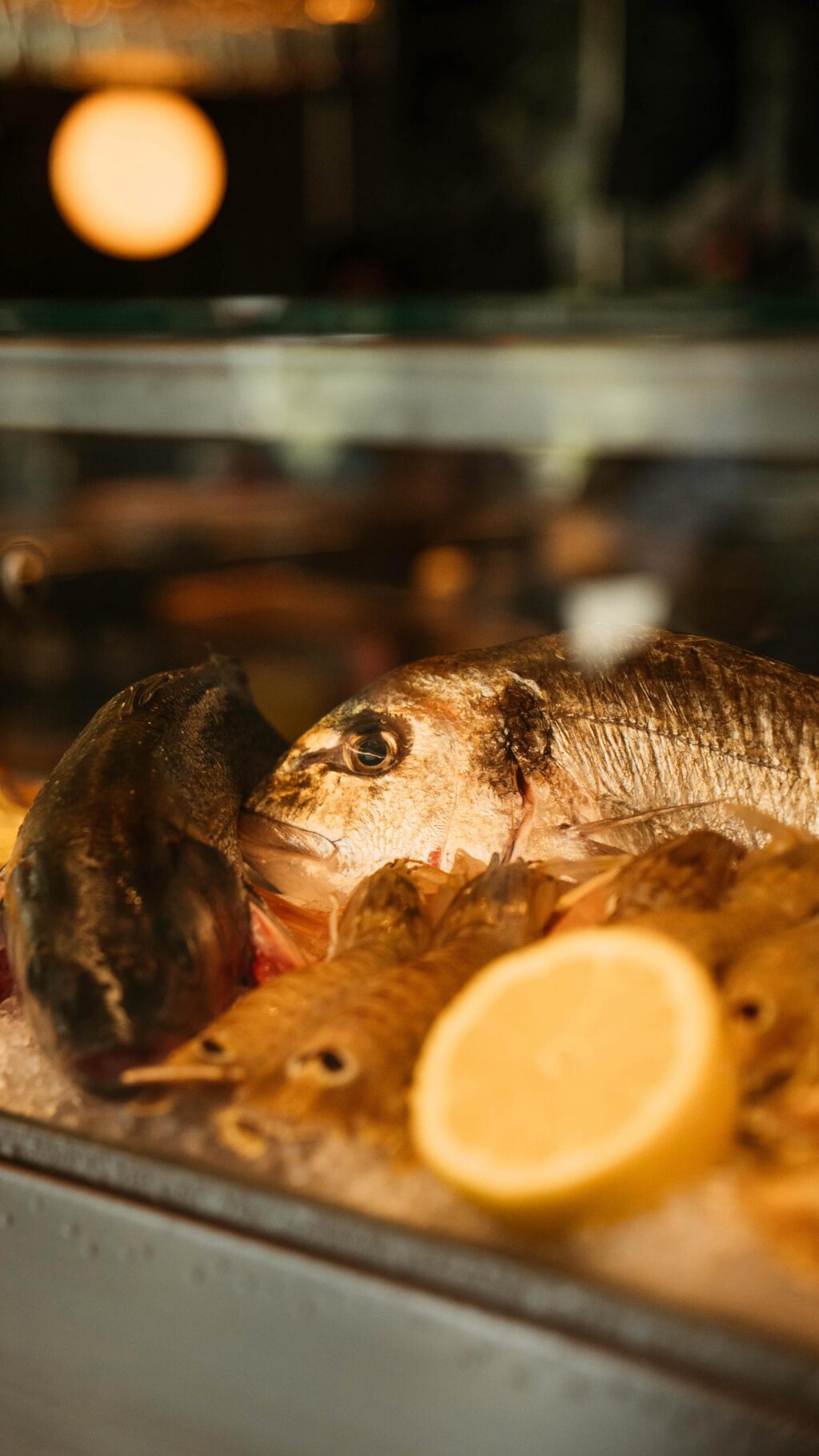 Instagram post from lafenomena_puerto. This post is in position 0.