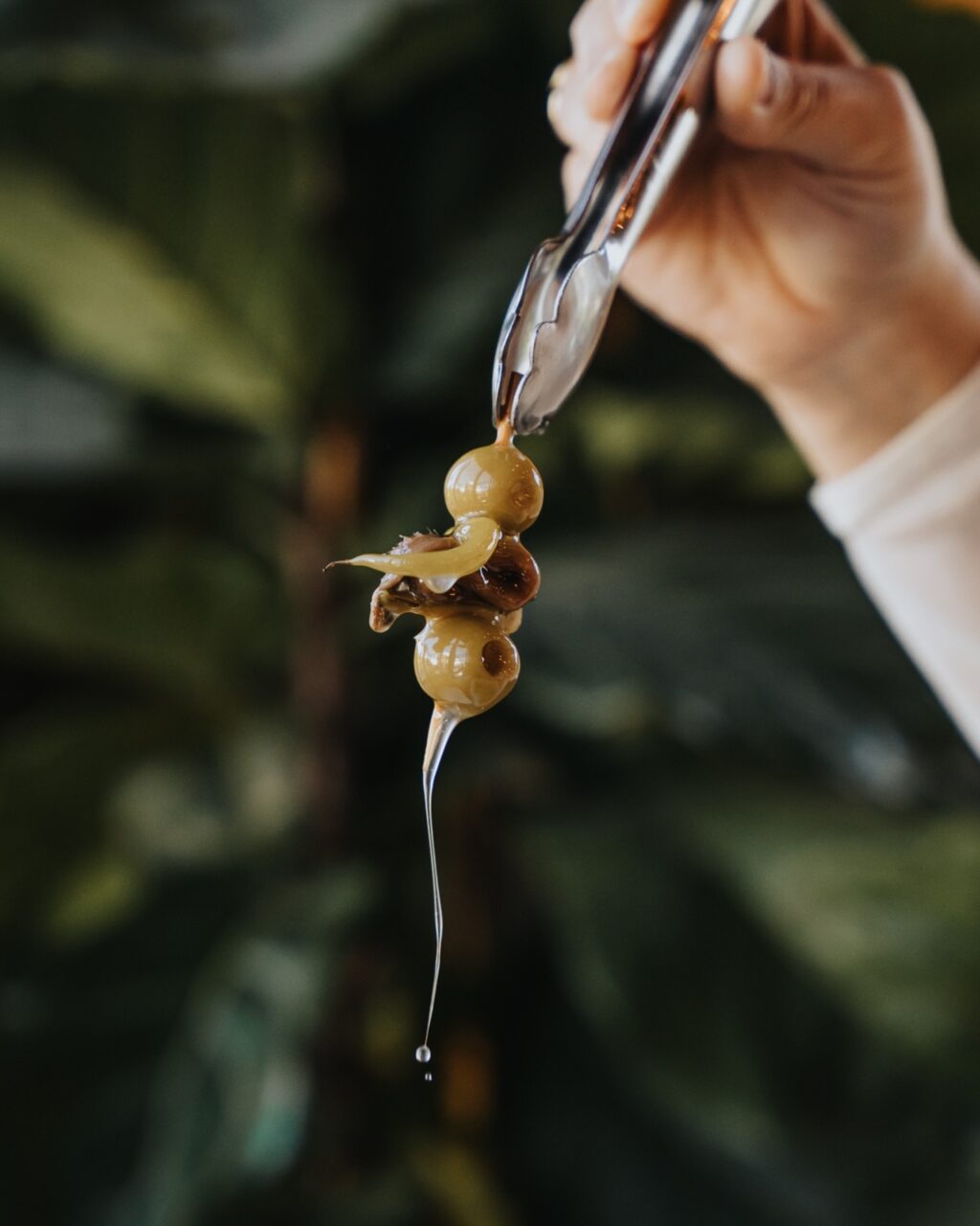 Instagram post from lafenomena_puerto. This post is in position 0.